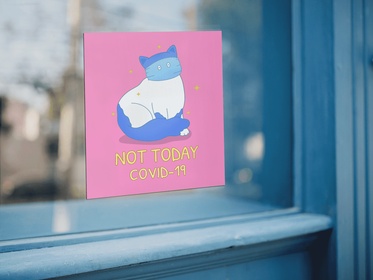 Cute cat on large printed stickers on window.